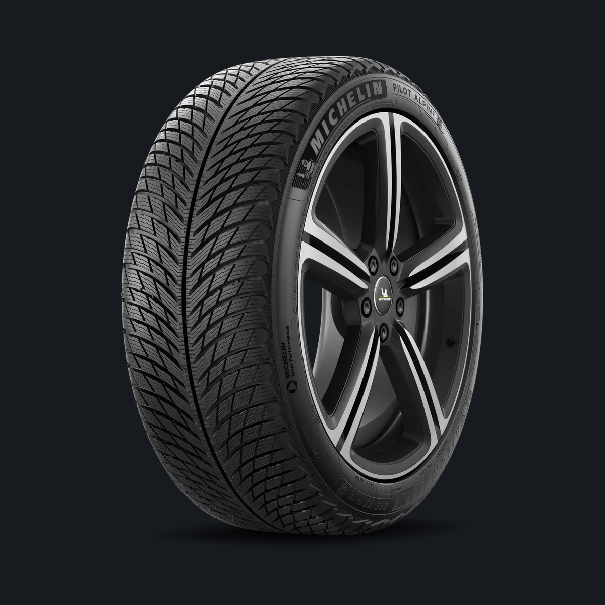MICHELIN 305/30R21 104V PILOT ALPIN 5 NA2